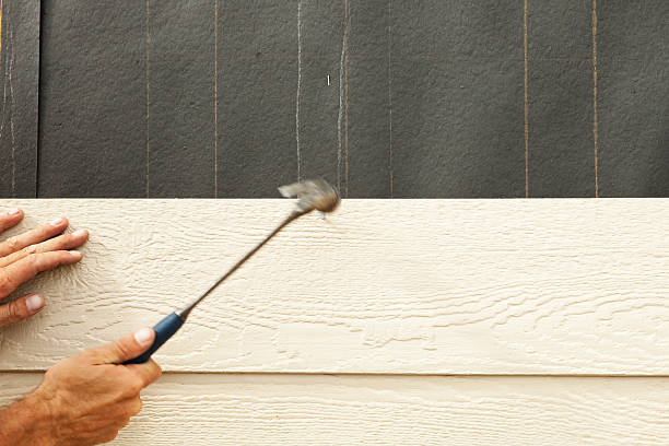 Best Engineered Wood Siding  in Friendswood, TX